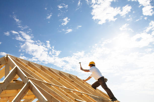 Best Skylight Installation and Repair  in Lynwood, IL